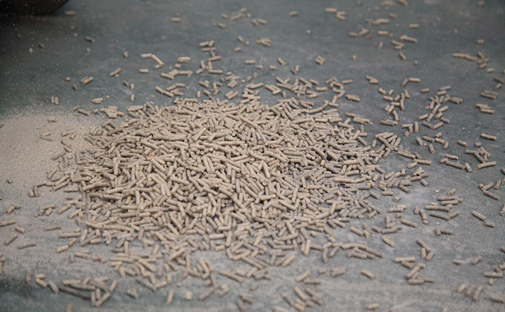 日照生物质颗；目帕