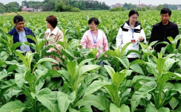 亲友游戏官网中心(中国区)官方下载